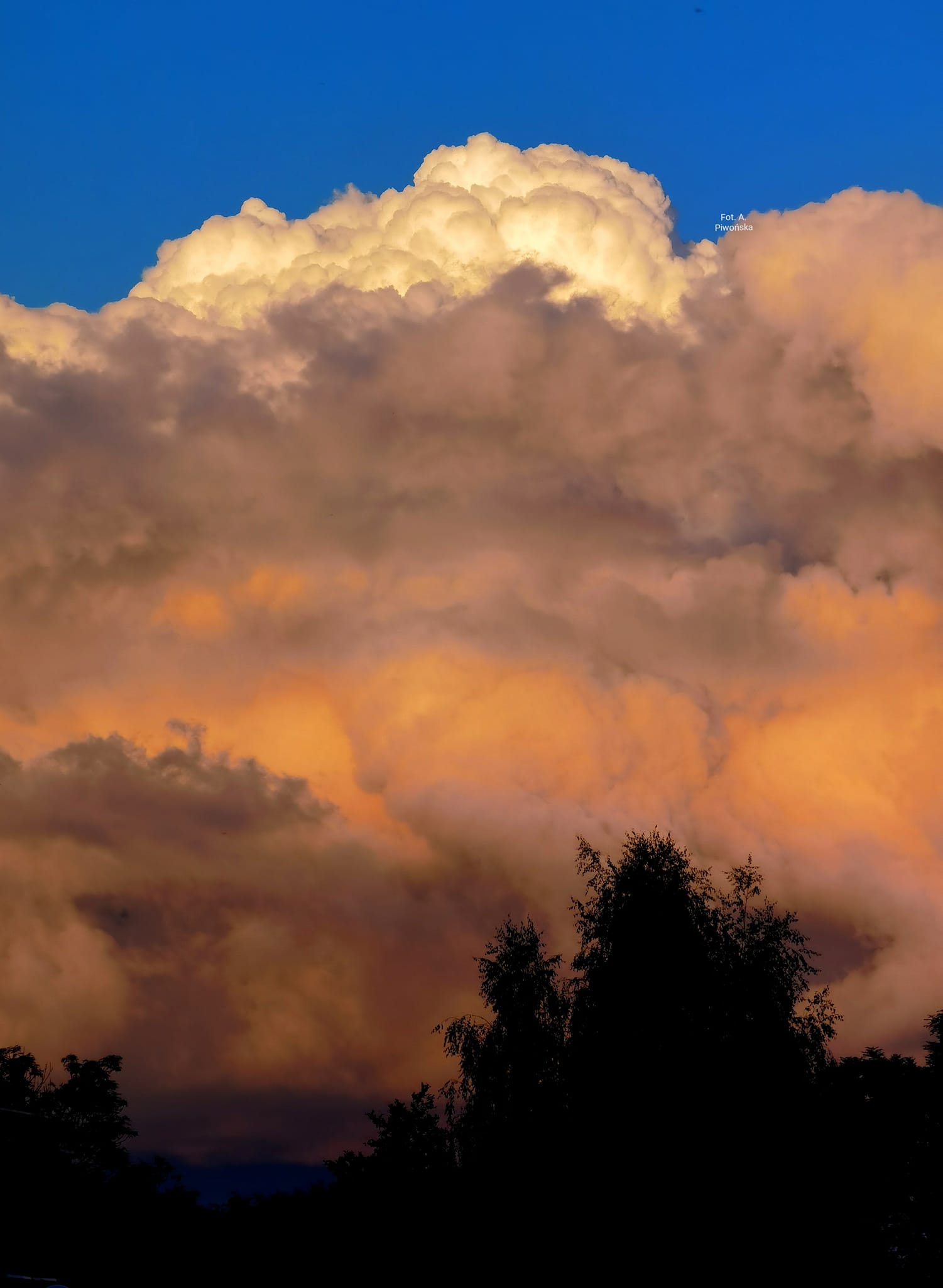 Beautiful cloudy sky with sunset